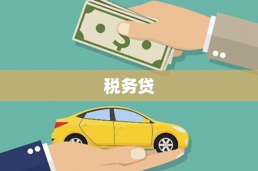 左权税务贷