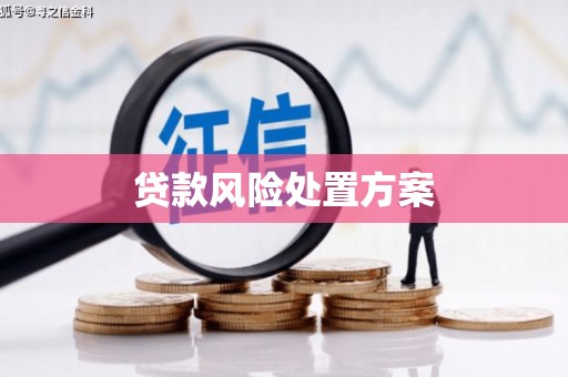 左权贷款风险处置方案