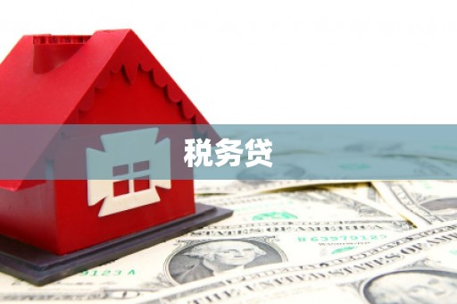 左权税务贷