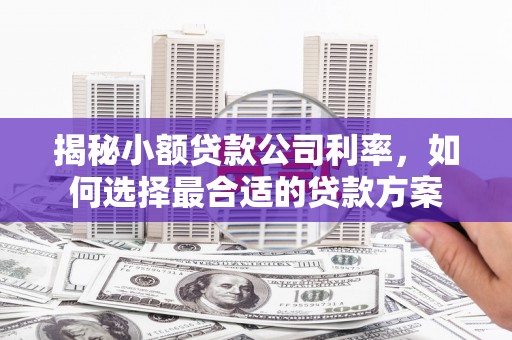 左权揭秘小额贷款公司利率，如何选择最合适的贷款方案